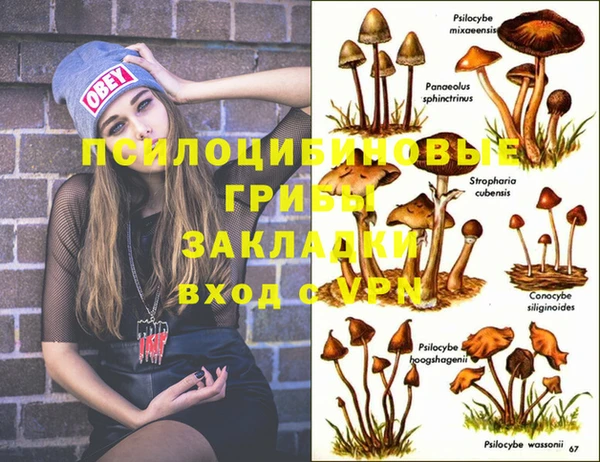 винт Абинск