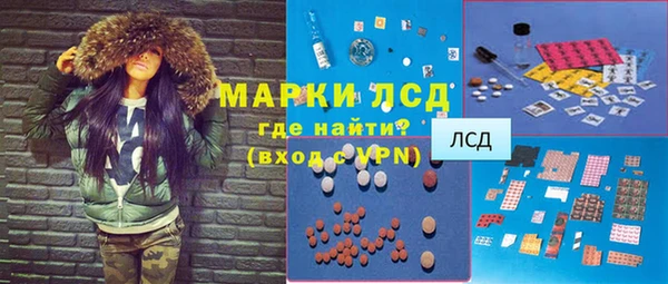 прущие грибы Братск