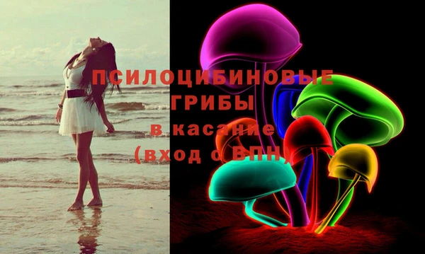 ешки Абаза