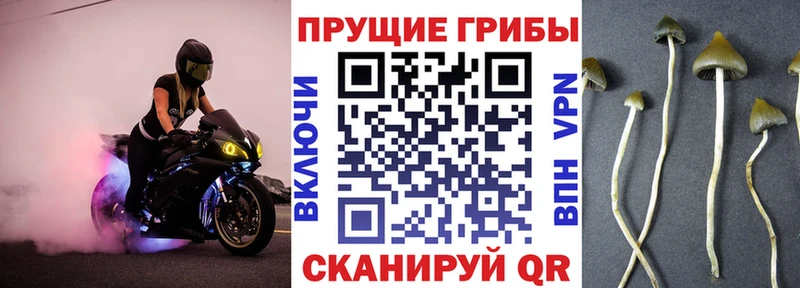Галлюциногенные грибы прущие грибы  shop формула  Юрюзань  где купить наркоту 
